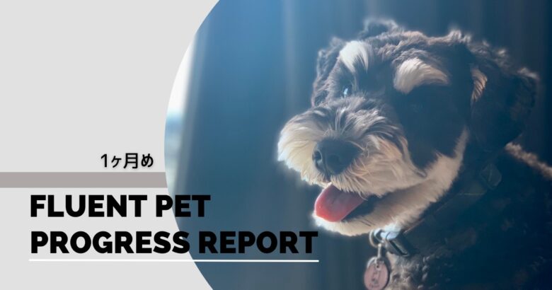 FluentPet】愛犬と話そう！ロッティのコミュニケーションボタン訓練 