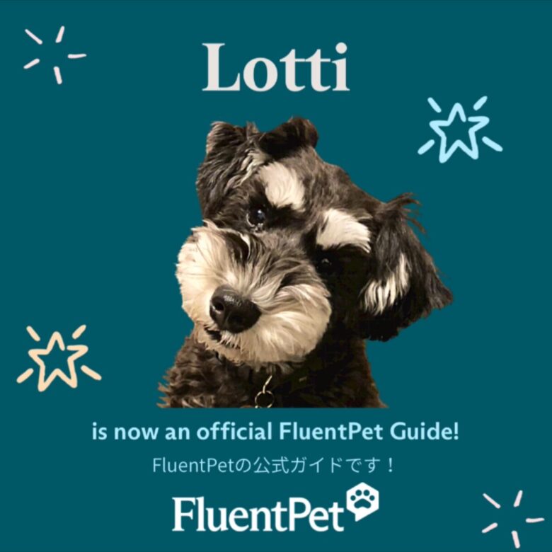 FluentPet】愛犬と話そう！日本語で解説！公式HPからのお買い物方法